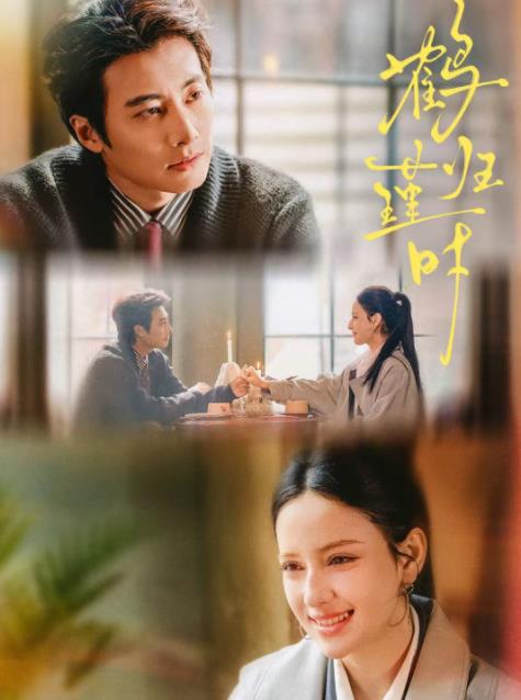 鹤归瑾时(全集)