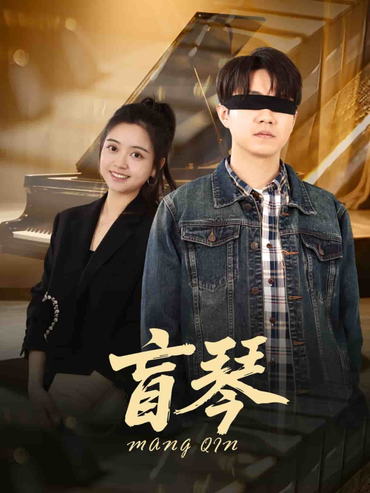 盲琴(全集)